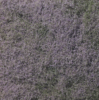 Woodland Scenics Lowering Foliage - Purple